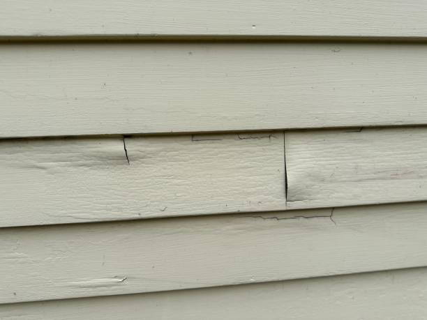 Siding for Commercial Buildings