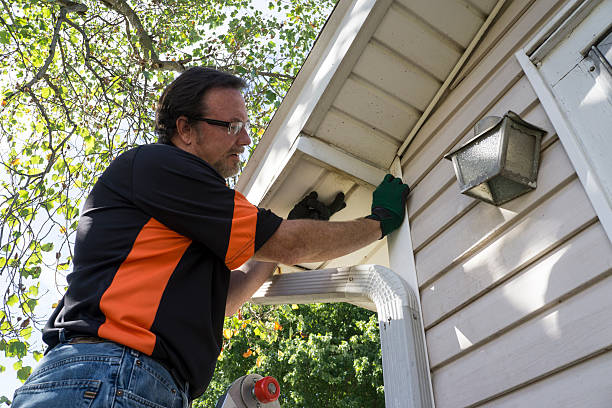 Best Brick Veneer Siding  in Marathon, FL